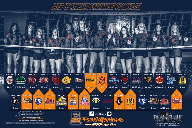 vb_poster_2016